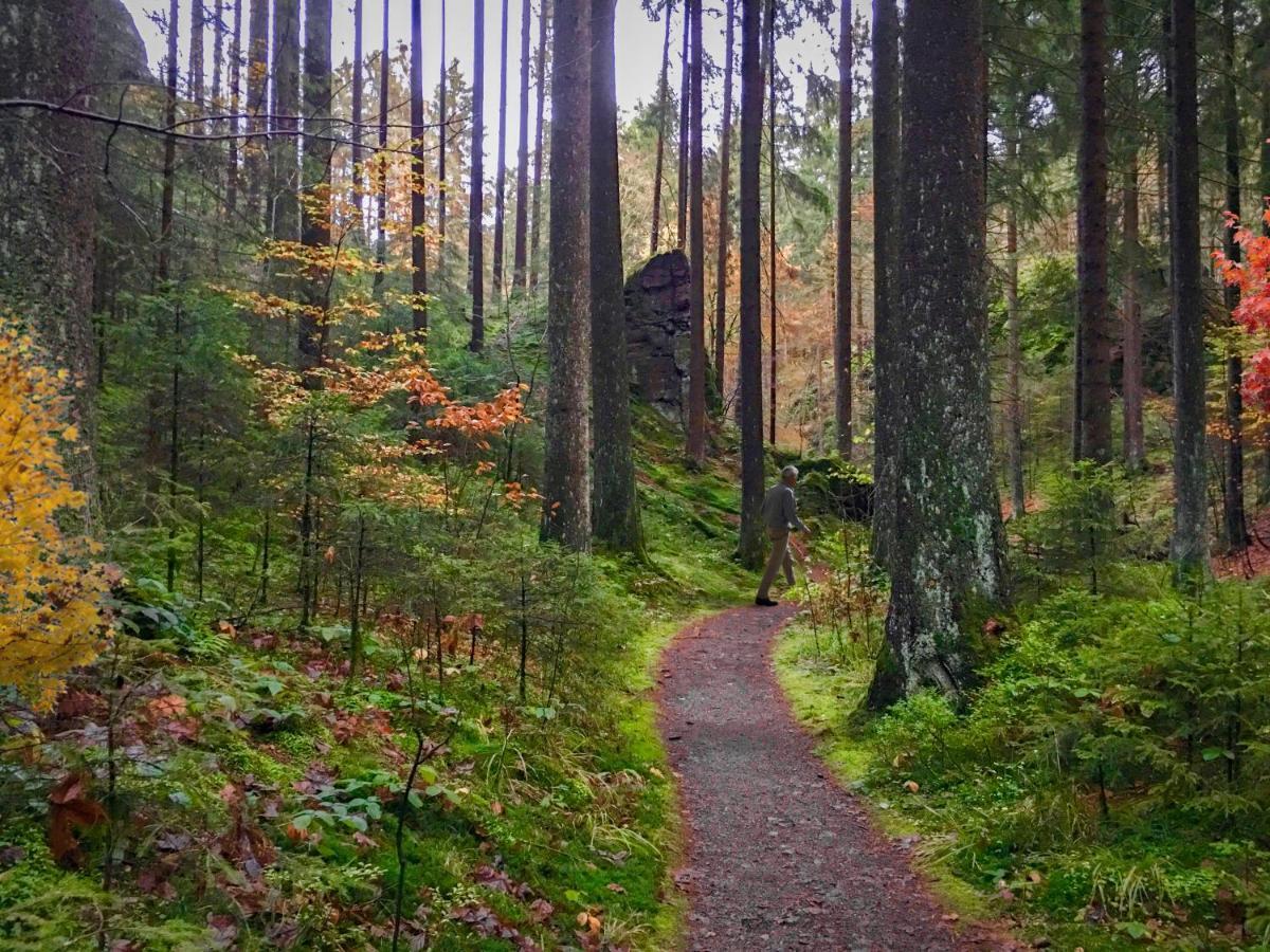Harz Hotel Und Gaestehaus Am Bornweg Bad Sachsa Esterno foto